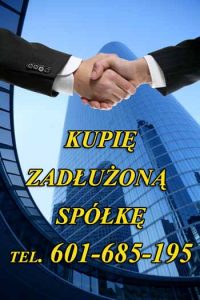 kupie-zadluzona-spolke-z-o-o-299-ksh-2